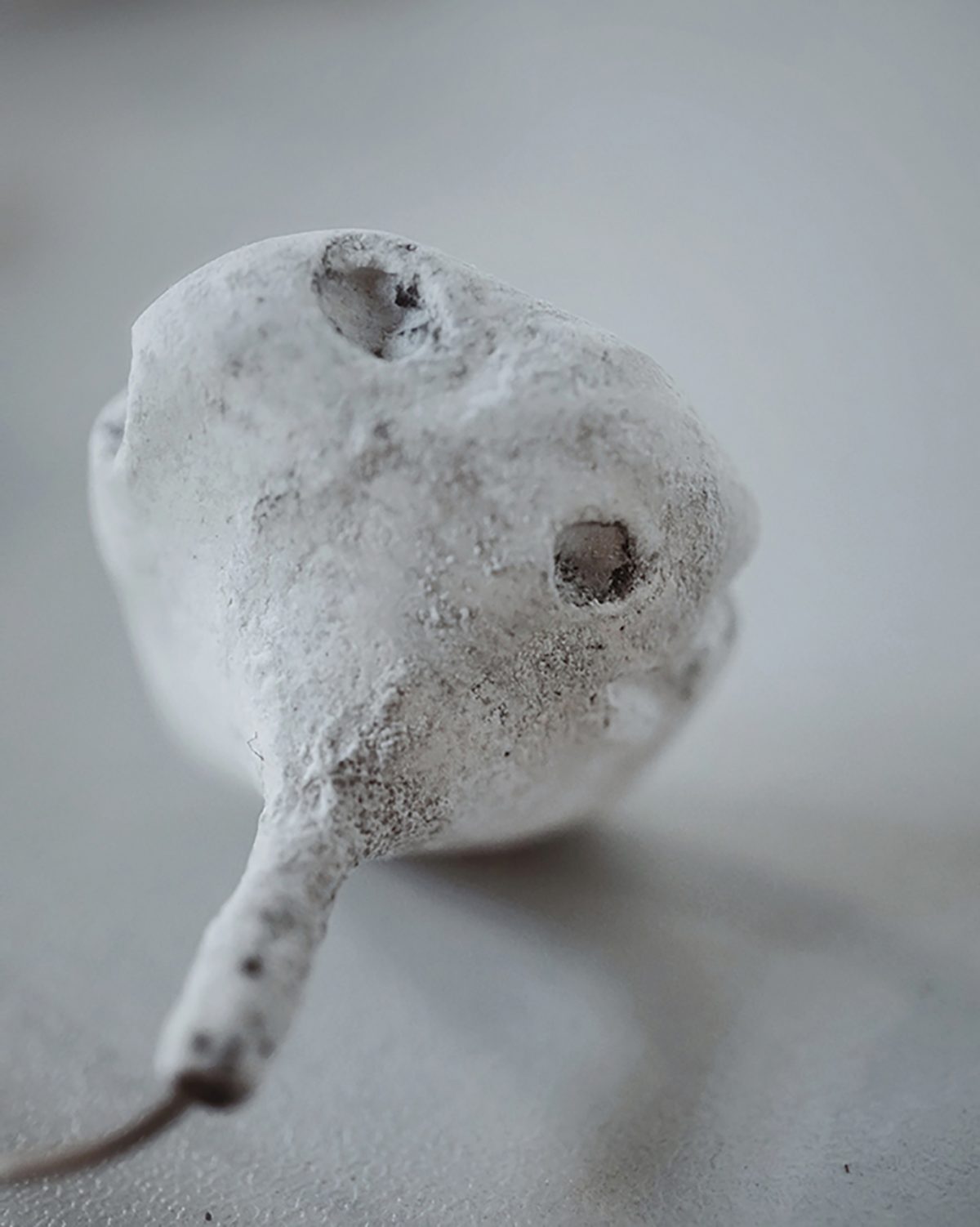 Photograph of a white porcelain sculpture shaped like an ear bud