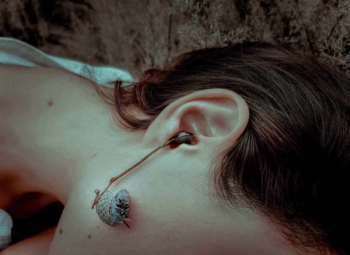 Photograph from overhead of the side of a woman's face, showing her cheek, ear and neck featuring a sculpture made of seeds and filament coming out of her ear